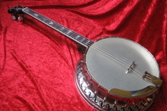 Celtic tenorbanjo