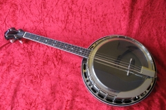 Irish tenorbanjo