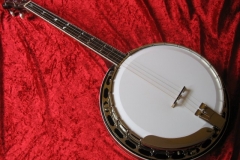 Standard tenorbanjo
