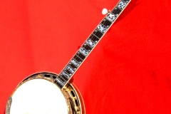 Deluxe 5-String Banjo