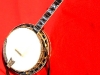 Schneider Deluxe Banjo