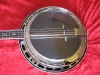 banjo pot with archtop tonering and 3-ply maple rim