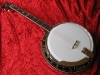 Tenorbanjo Standart front